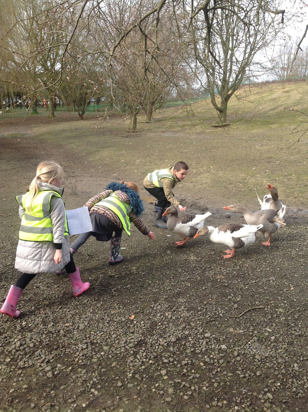 Beech Class Trip to Raystede