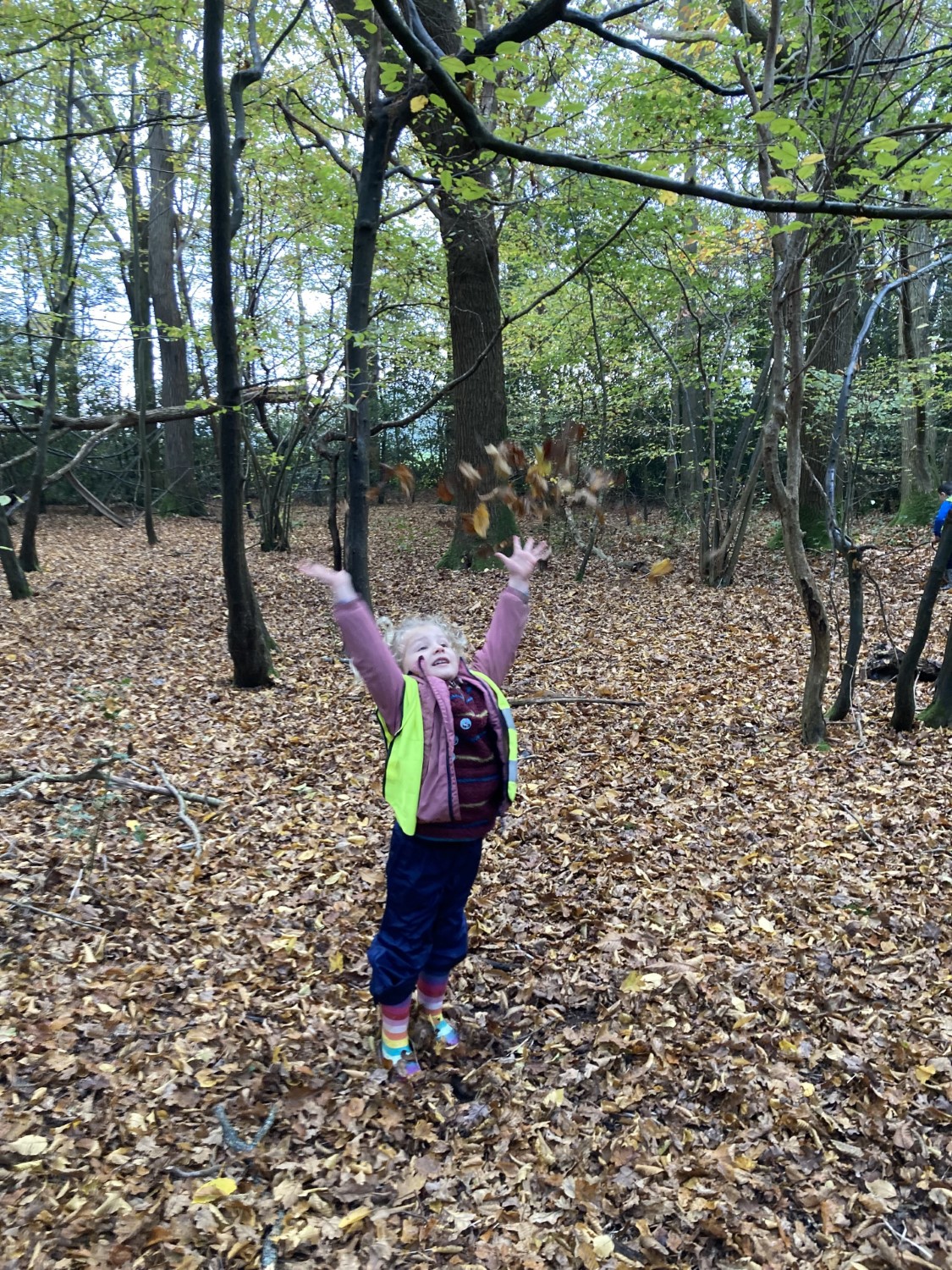 Forest School Update 15th November