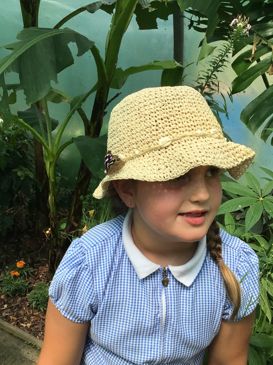 Beech Class Trip to Sussex Butterfly Gardens