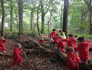 forest_school_3