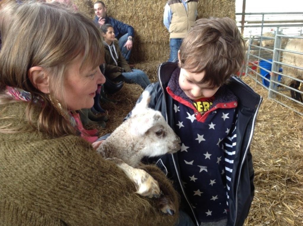 Reception’s Trip to Plumpton College