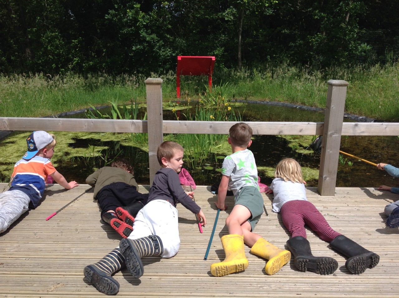 Hedgehogs’ Forest School 25th June