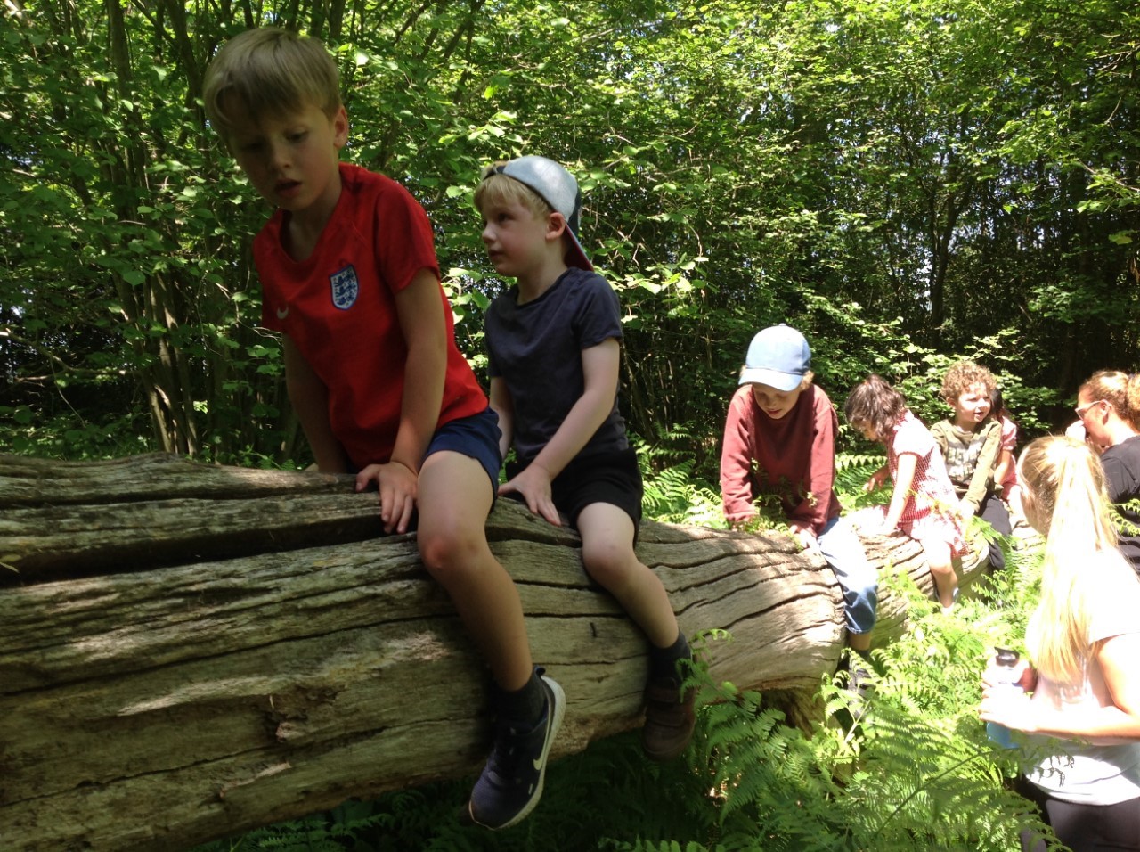 Hedgehogs’ Forest School 18th June