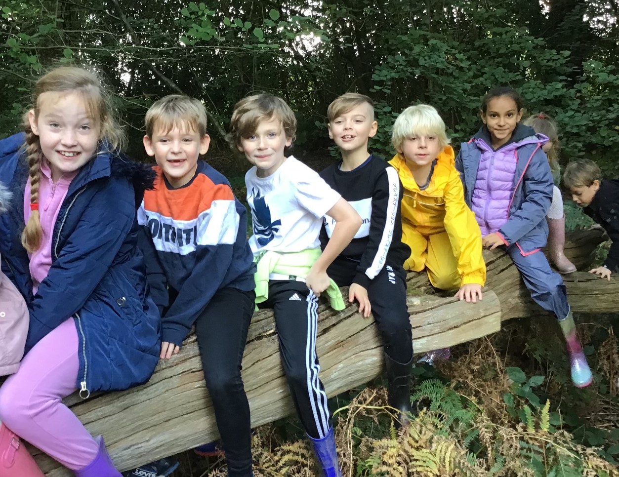 Foxes Class Forest School
