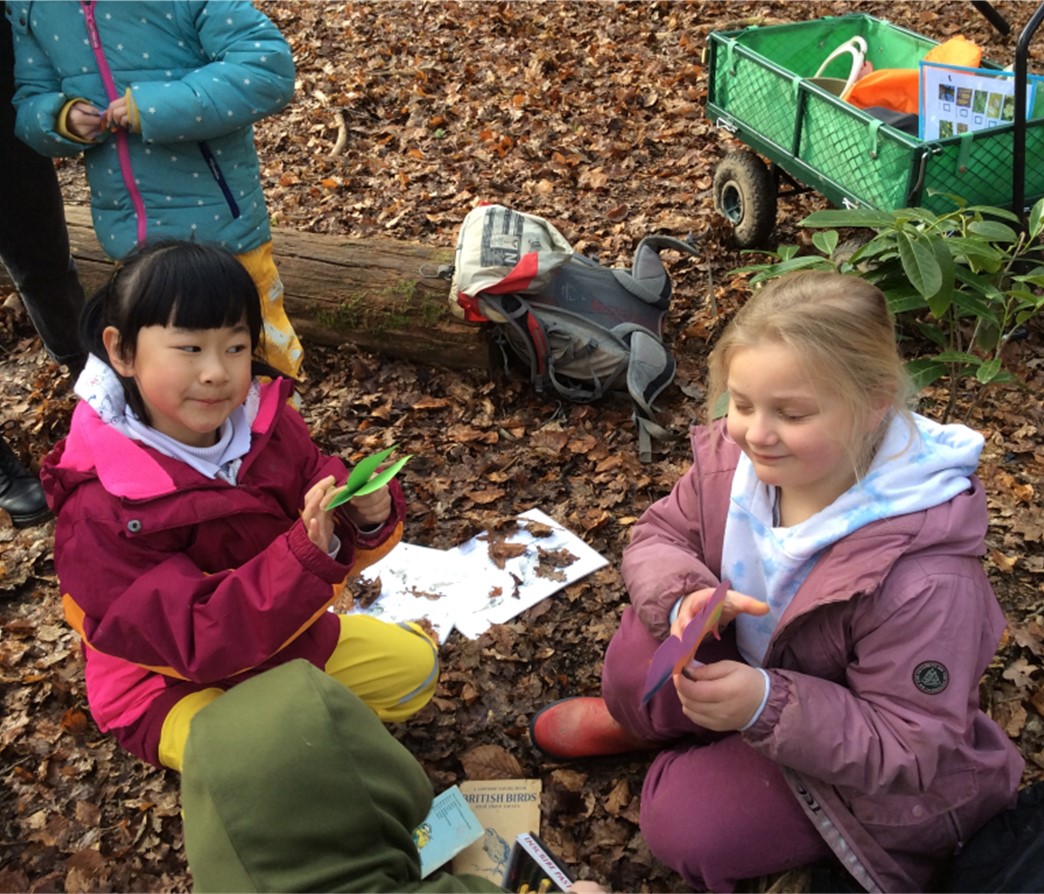 Forest School Update 1st March