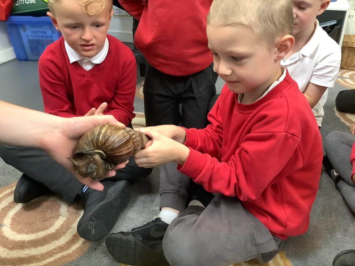 Hedgehogs Zoolab Visit