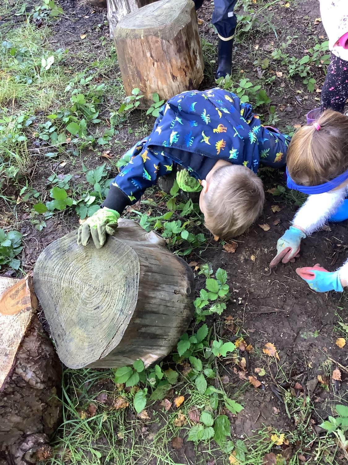 Squirrels Forest School