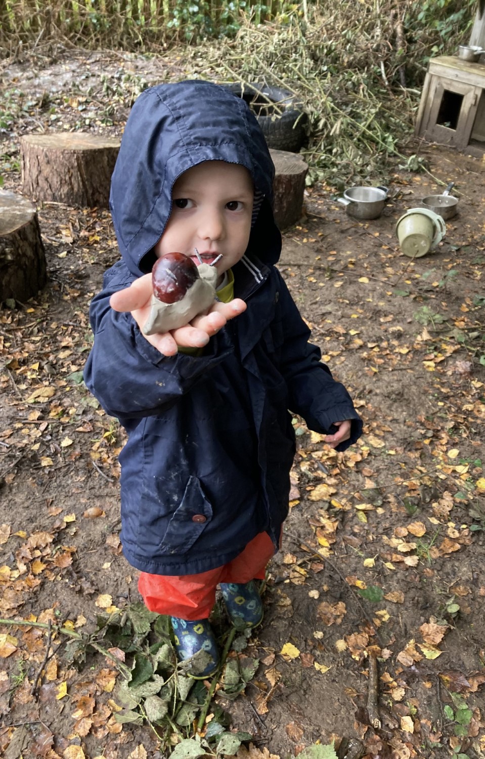 Hedgehogs & Rabbits Forest School