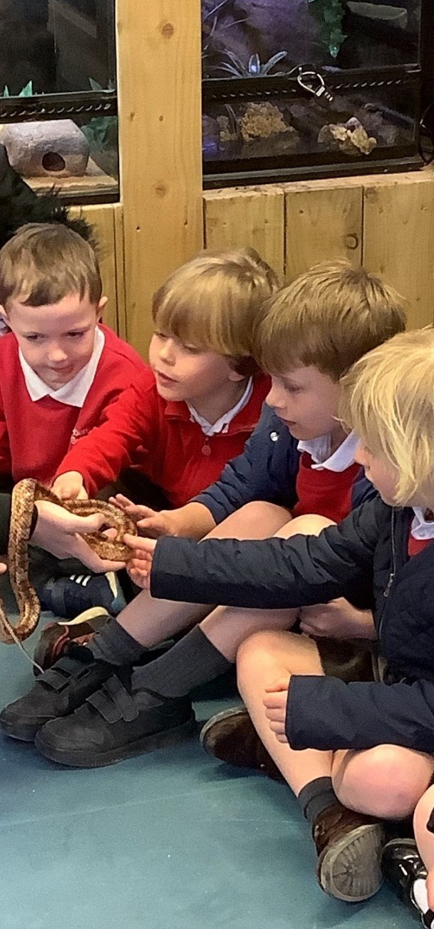 Squirrels Bedes Zoo Trip