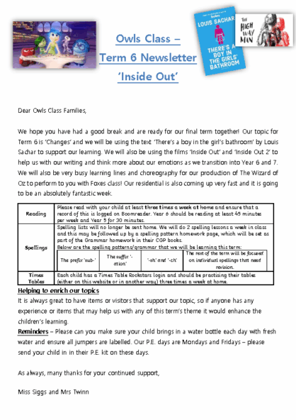 Term 6 2024/25 – Inside Out