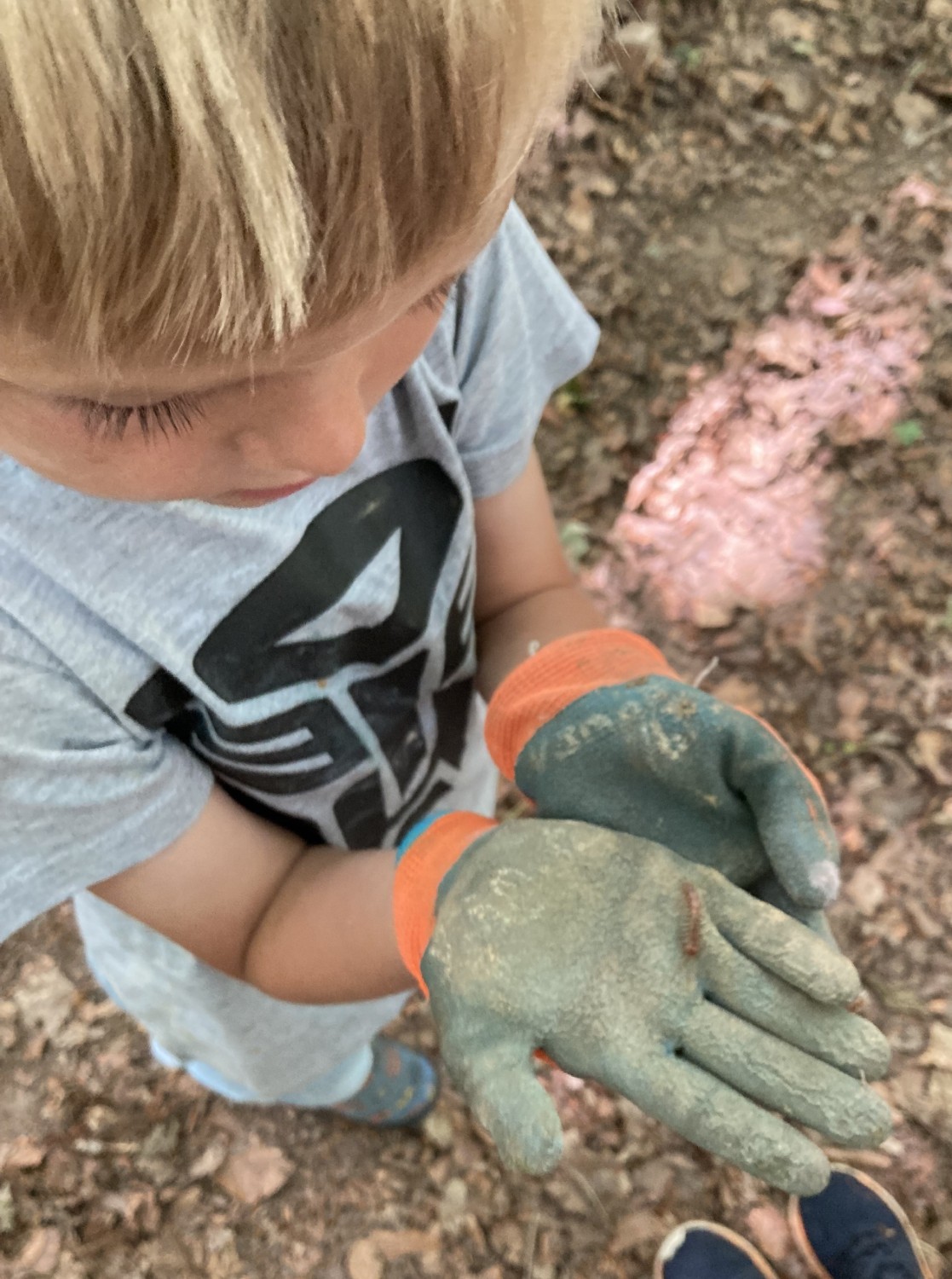 Squirrels Forest School