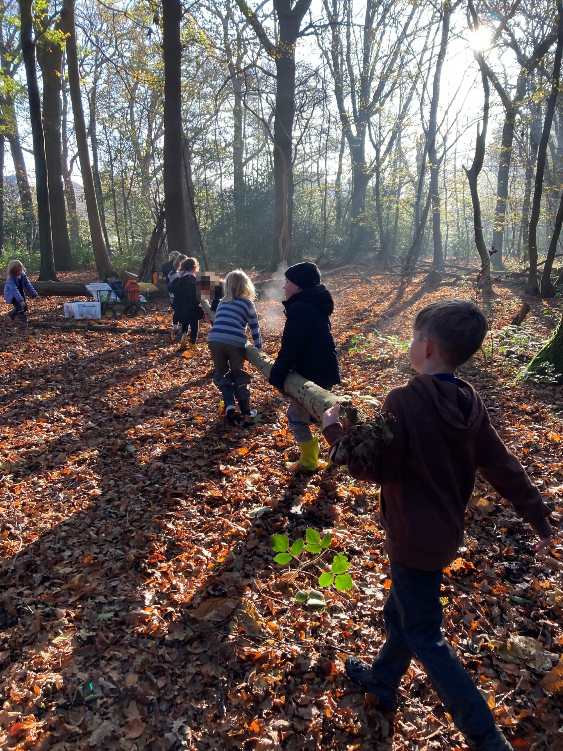 Forest School Update 19th December