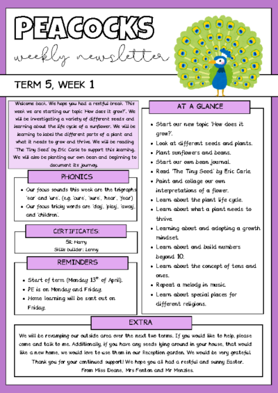 Term 5 Week 1