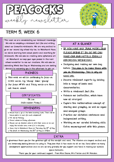 Term 5 Week 6