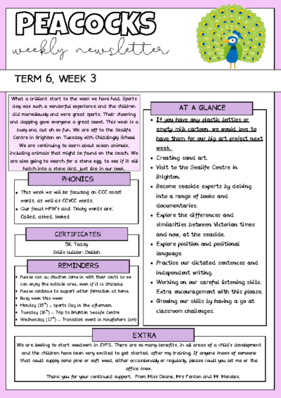 Term 6 Week 3