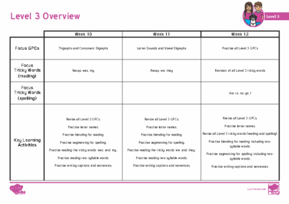 Level 3 Overview Weeks 10-12