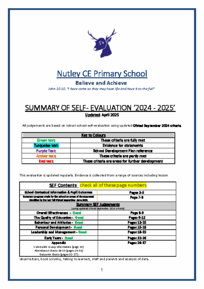 Self-Evaluation-Form 2024-25 (April 2025)