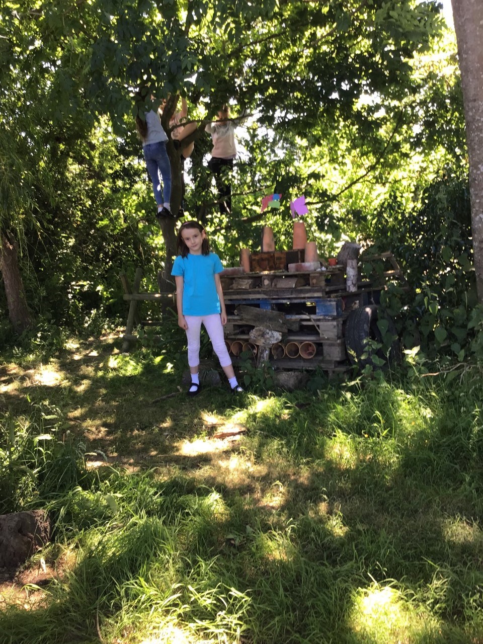 Maples Forest School