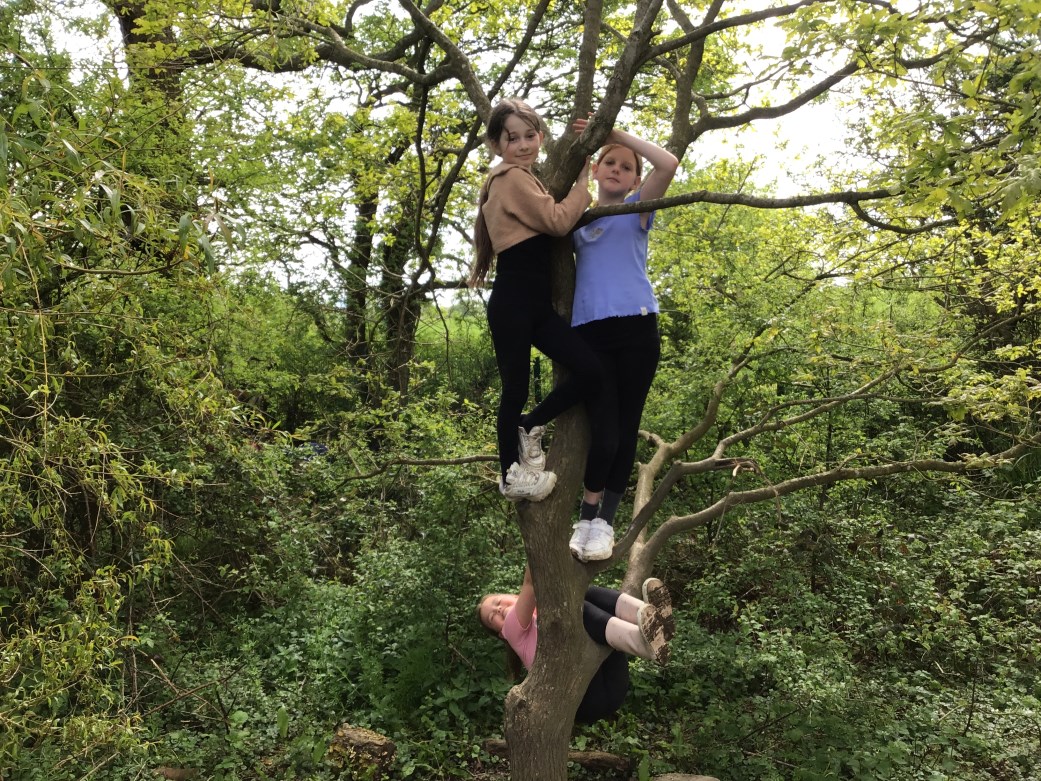 Maples Forest School