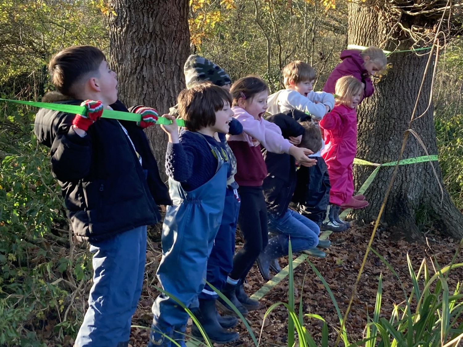 Chestnuts Forest School