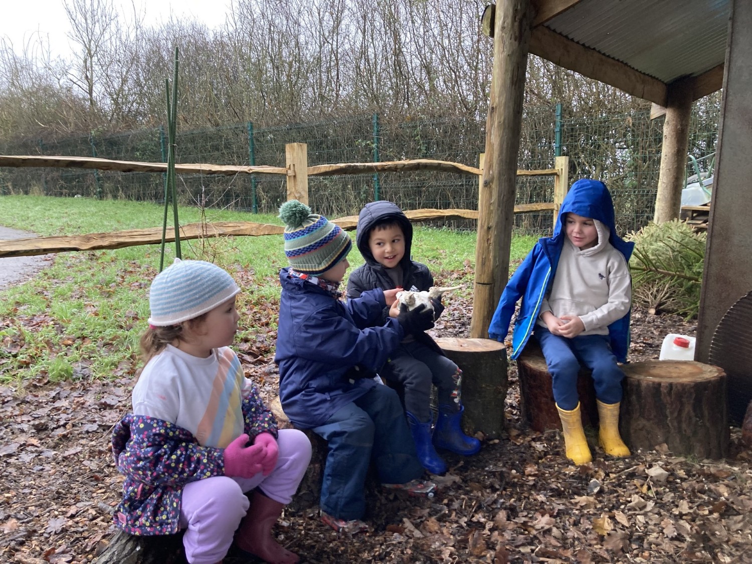 Willows Forest School