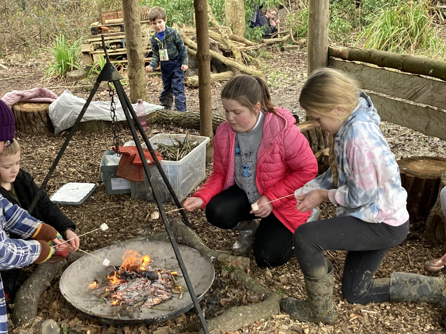 Forest School Update 12th February