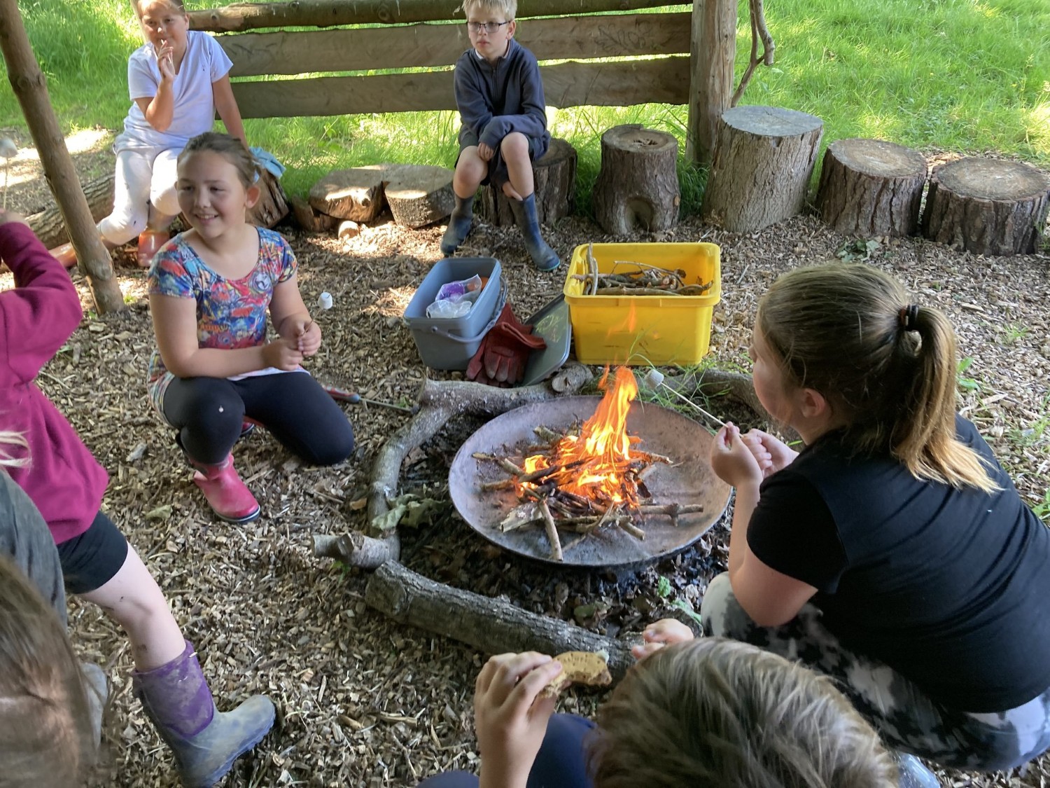 Forest School Update 11th June