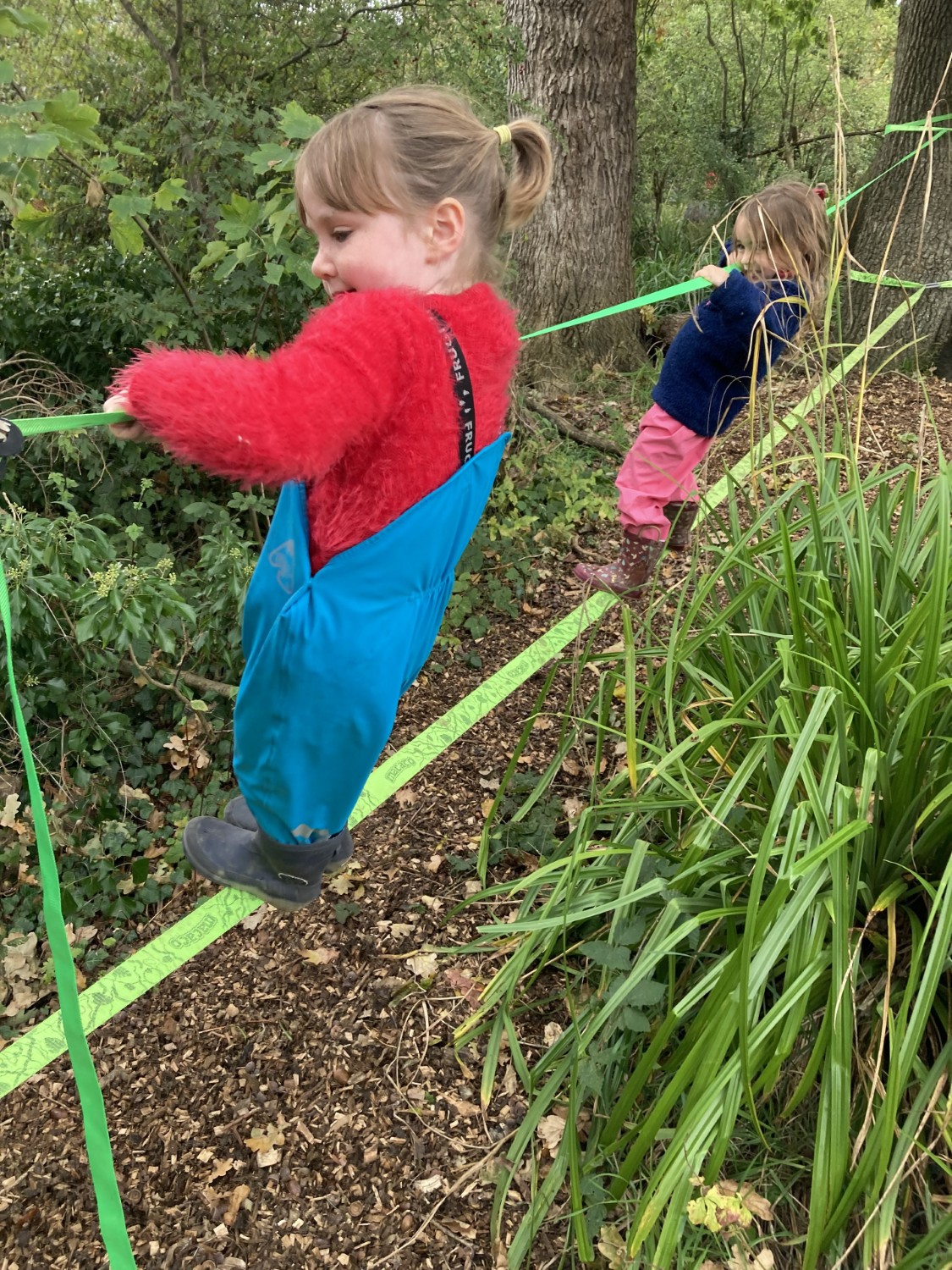 Willow Forest School