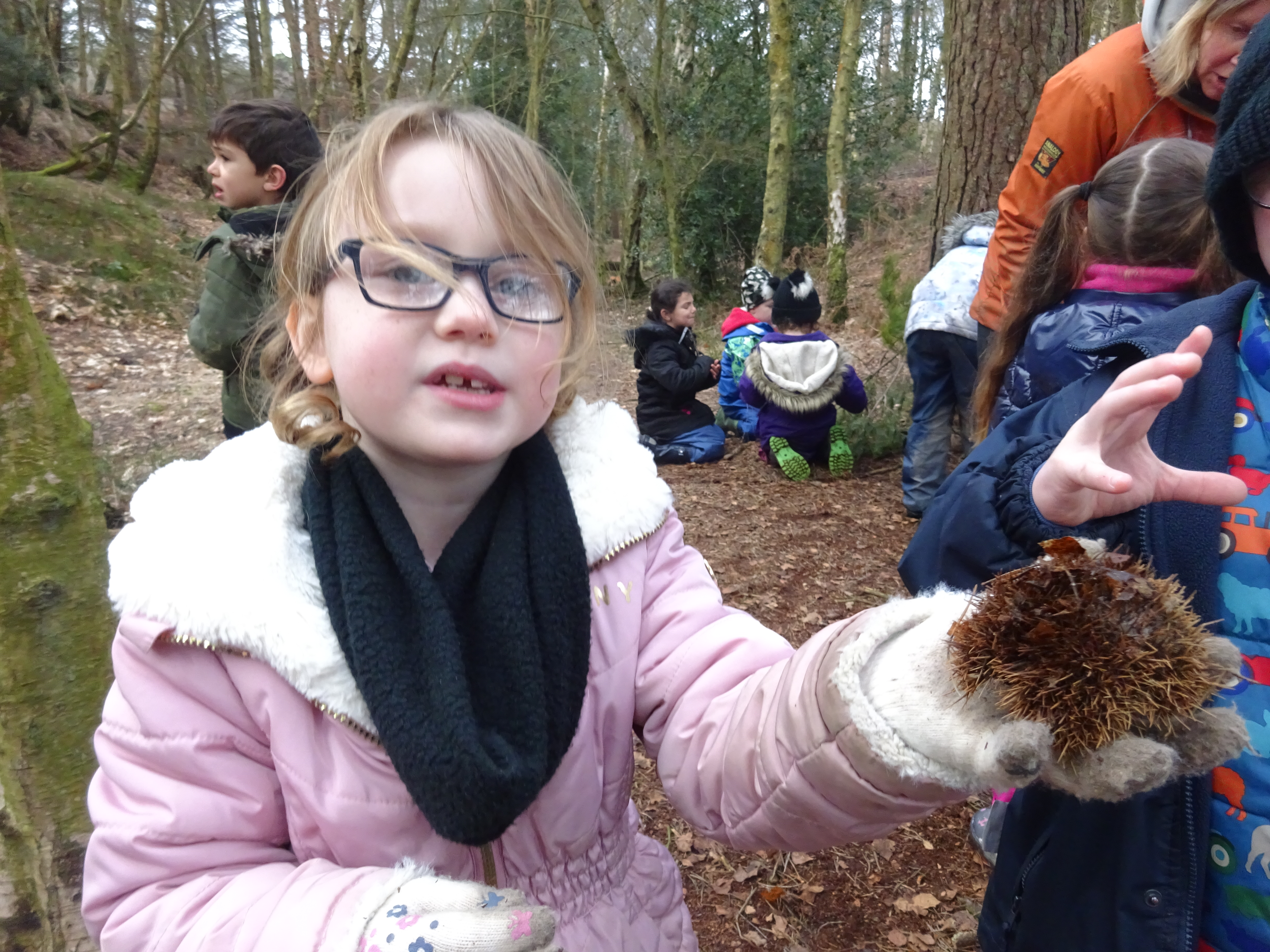 Whole School Trip to Ashdown Forest