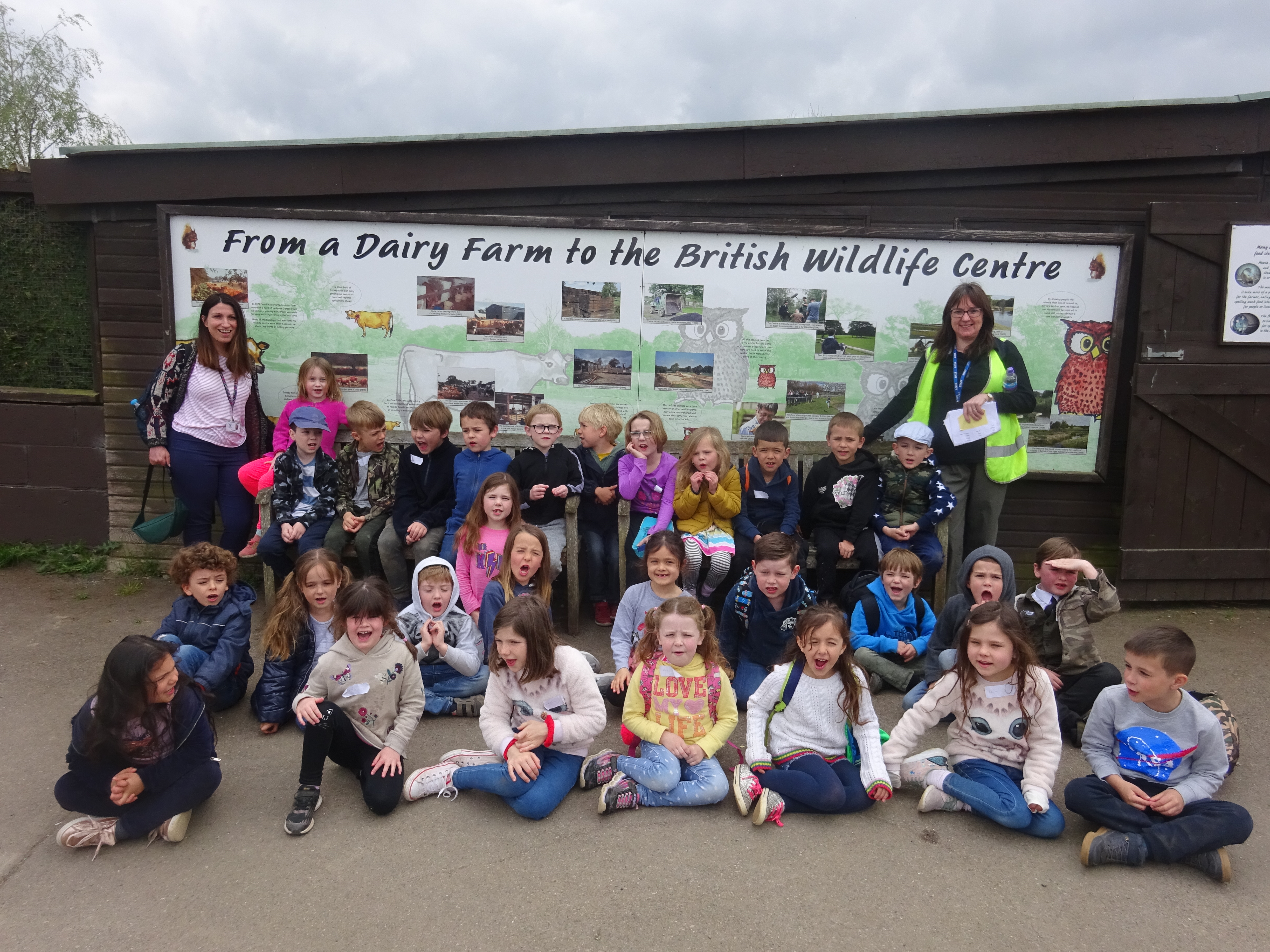 Cherry Class Visits British Wildlife Centre