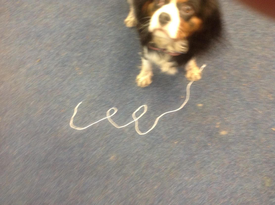 Lilac Class Forest School