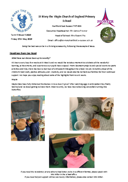 Newsletter T5W5