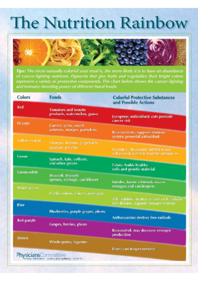 The Nutrition Rainbow
